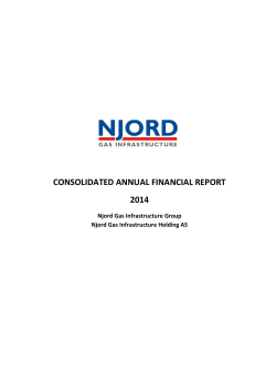 consolidated annual financial report 2014