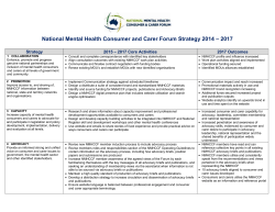 NMHCCF Business Plan Strategy 2014-2017