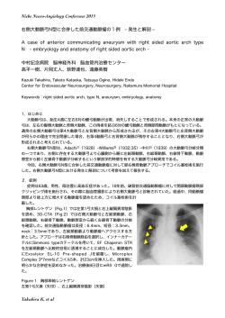Niche Neuro-Angiology Conference 2015 å³å´å¤§åèå¼Nåã«åä½µ