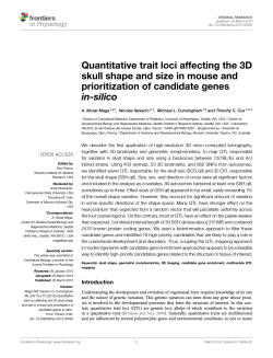 Quantitative trait loci affecting the 3D skull shape and size in