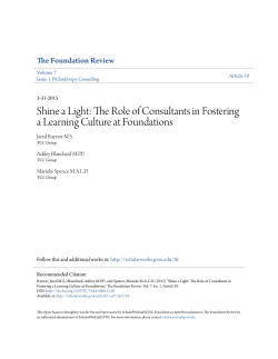 Shine a Light: The Role of Consultants in Fostering a Learning