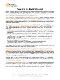 fact sheet - National Network to End Domestic Violence