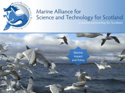 Marine Impact and Policy