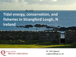 Tidal energy, conservation, and fisheries in Strangford Lough, N