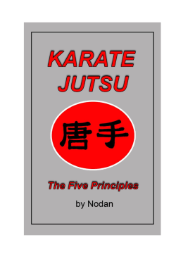 Karate Jutsu: The Five Principles