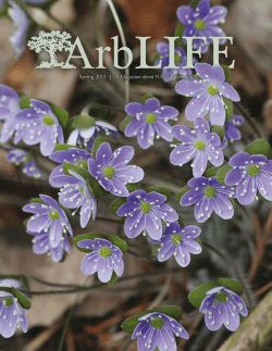 Spring 2015 | A Magazine about YOUR Arboretum Spring 2015 | A