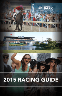 2015 Racing Guide