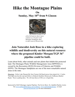 Hike the Montague Plains On Sunday, May 10