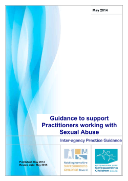 Guidance to Support Practitioners Working with Sexual Abuse
