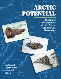 Executive Summary - Arctic Potential