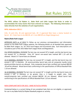 2014 Bat Rules Npgl