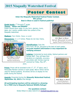 2015 NIsqualliy Watershed Festival Poster Contest flier