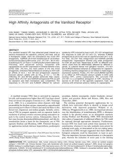 High Affinity Antagonists of the Vanilloid Receptor
