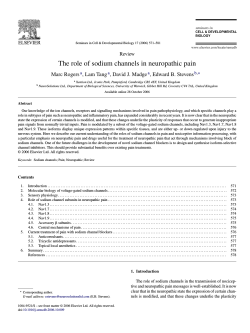 The role of sodium channels in neuropathic pain