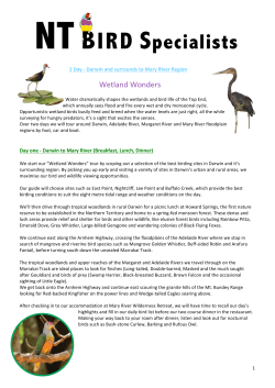 Wetland Wonders - NT Bird Specialists