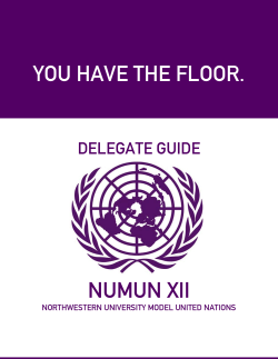 YOU HAVE THE FLOOR. NUMUN XII