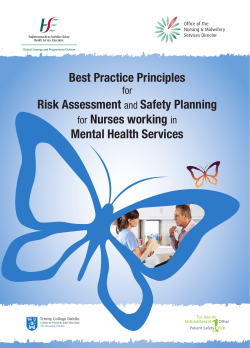 Best Practice Principles Risk Assessment and Safety Planning for