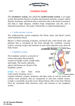 Circulatory System The circulatory system, also called the