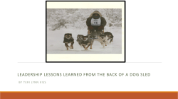 Leadership Lessons Learned on the Back of a Dog Sled