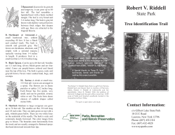 Tree Identification Trail at Robert V. Riddell State Park
