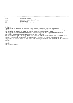 Rock Lobster consultation submissions March 2015