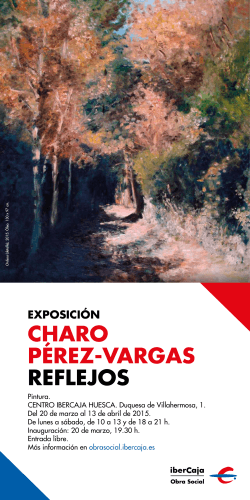 CHARO PÃREZ-VARGAS REflEjOS