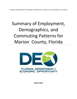 Summary of Employment, Demographics, and Commuting Patterns