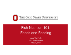 Fish Nutrition 101: Feeds and Feeding