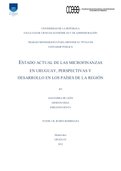 estado actual de las microfinanzas en uruguay, perspectivas y