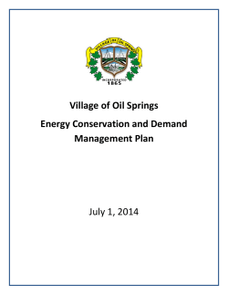 Village of Oil Springs Energy Conservation and Demand