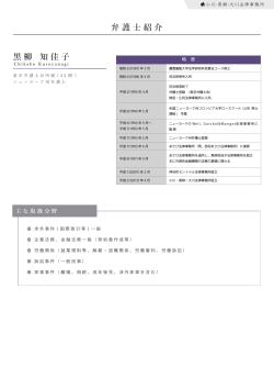 ãã­ãã£ã¼ã«ãpdfãã¡ã¤ã«ã§è¡¨ç¤º