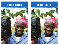 Fruit trees - international relief and development organization