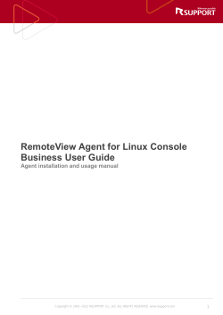 RemoteView Agent for Linux Console