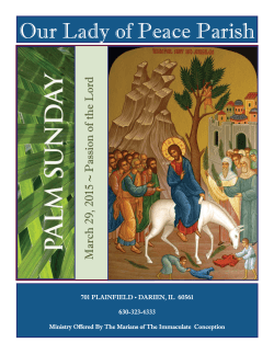 Palm Sunday - Our Lady of Peace Catholic Parish