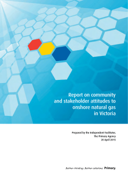 Onshore Natural Gas Report Final