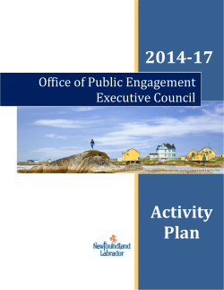 Office of Public Engagement Activity Plan 2014-2017