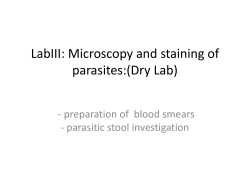 LabIII: Microscopy and staining of bacteria (Dry Lab)