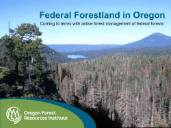 View the PDF - Oregon Forest Resources Institute