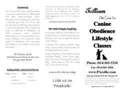 Dog Obedience Brochure & Rates