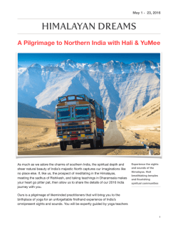 travel logistics guide