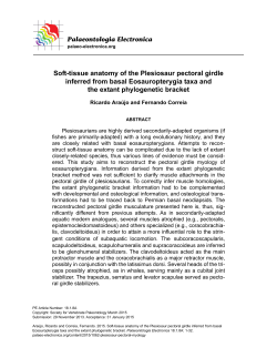 PDF version - Palaeontologia Electronica