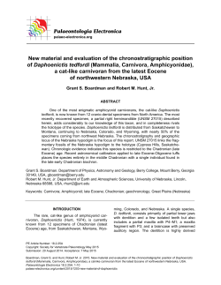New material and evaluation of the chronostratigraphic position of