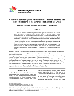 PDF version - Palaeontologia Electronica