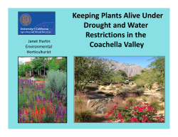 Keeping Plants Alive Under Drought and Water Restrictions in the