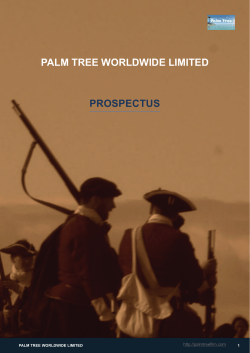 PALM TREE WORLDWIDE LIMITED PROSPECTUS