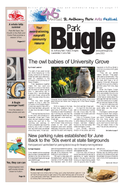 The owl babies of University Grove