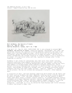 Neil Goldberg, One Version of Events April 19 &acirc; May