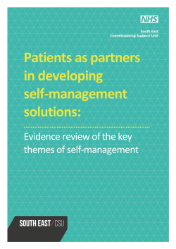 Evidence review of the key themes of self