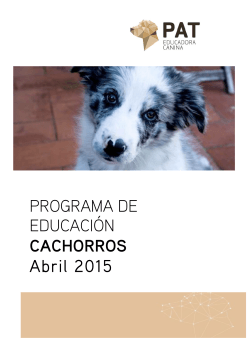 Programa especial para cachorros