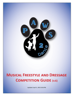 Musical Freestyle and Dressage Competition Guide